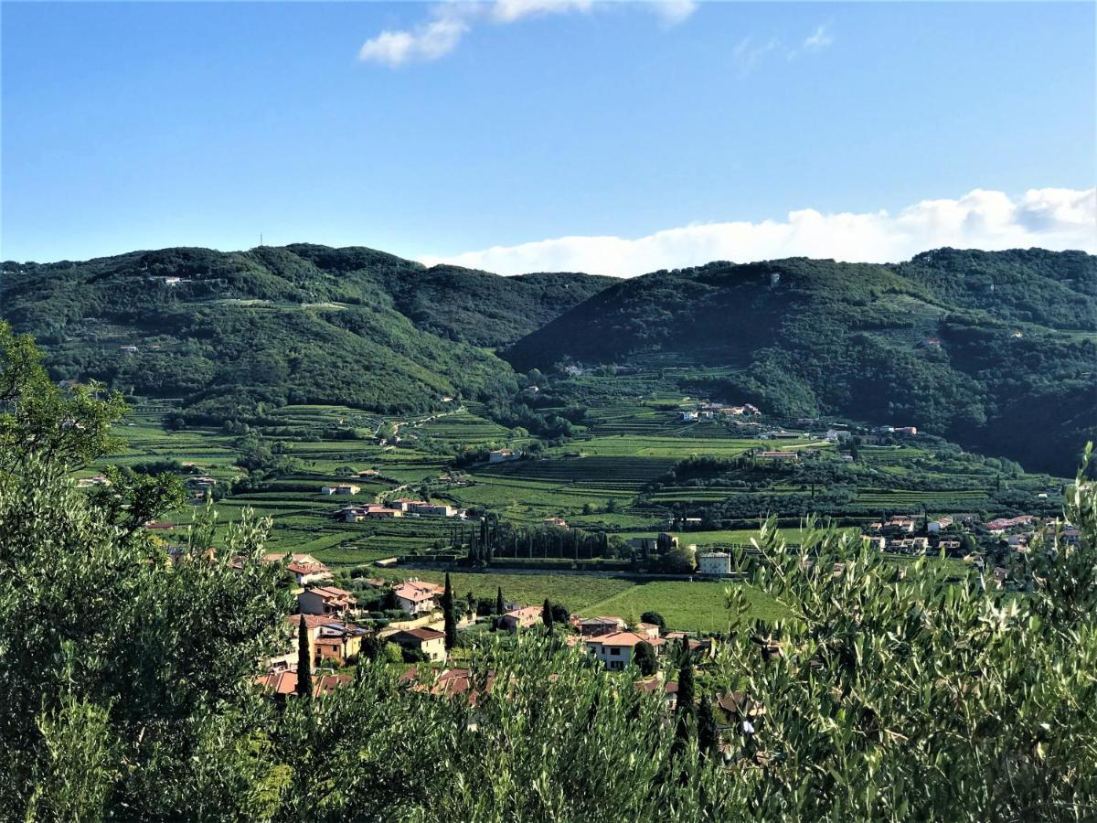Valpolicella Hills Apartment Неграр Екстериор снимка