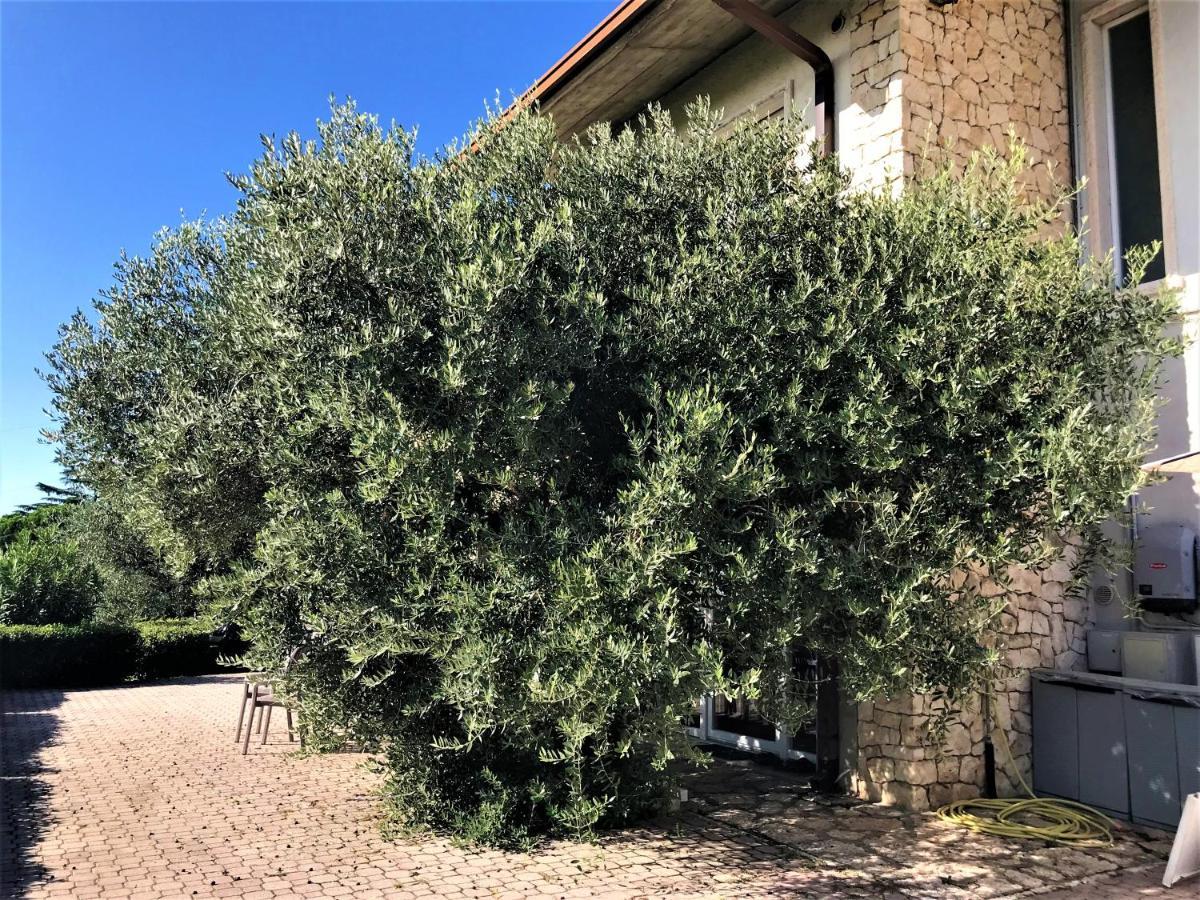 Valpolicella Hills Apartment Неграр Екстериор снимка