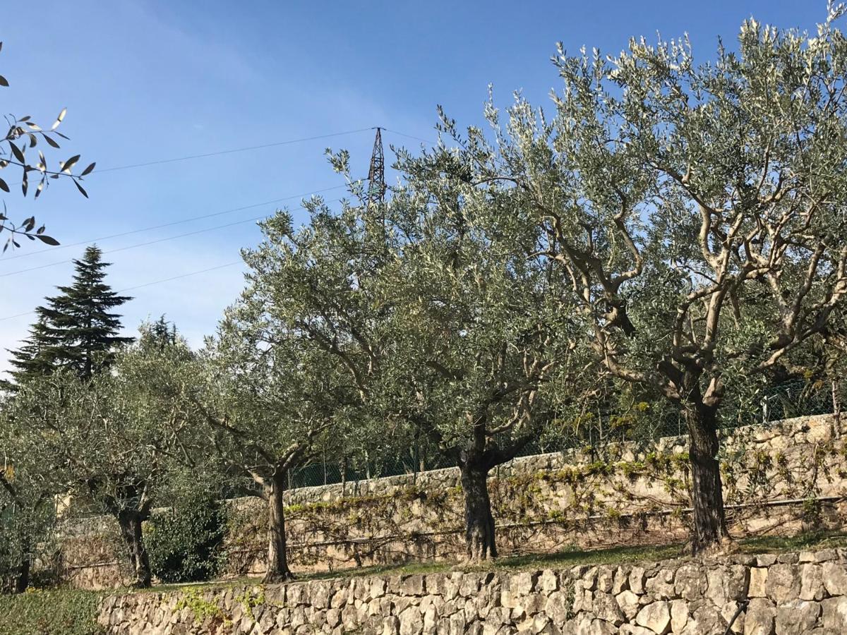 Valpolicella Hills Apartment Неграр Екстериор снимка